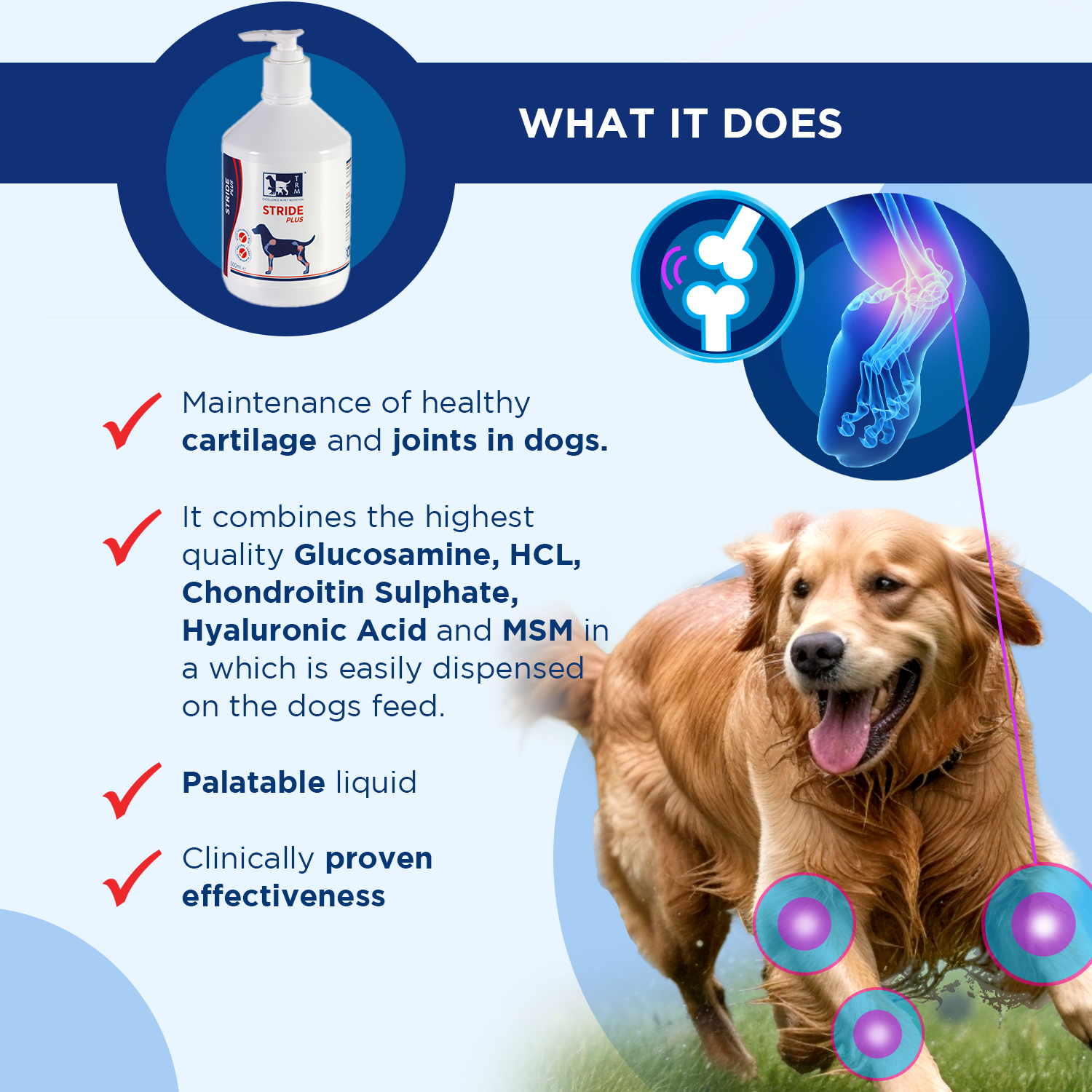 Stride Plus Liquid for maintaining healthy cartilage and joints in dogs, featuring active ingredients and proven effectiveness.