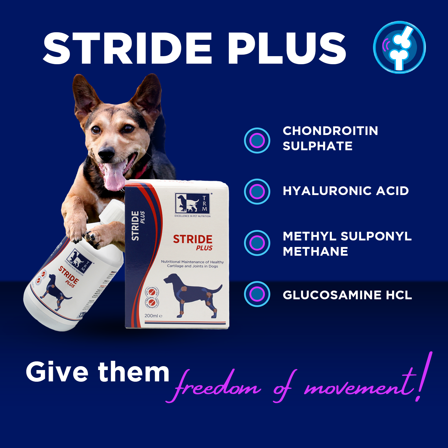 Stride Plus Liquid for dog's joint health with ingredients like glucosamine HCL and hyaluronic acid.