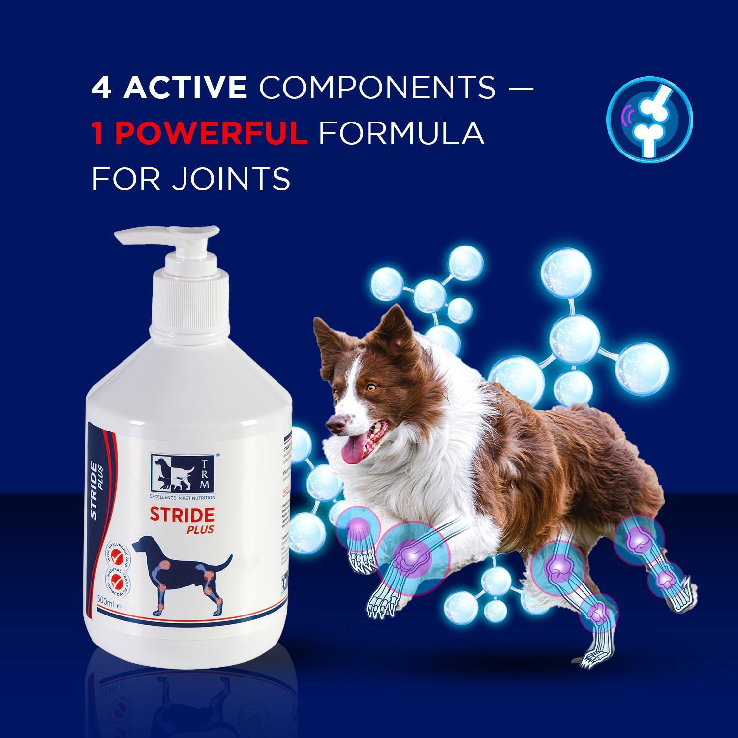 Stride Plus Liquid container with dog illustration, highlighting powerful formula for joint health.