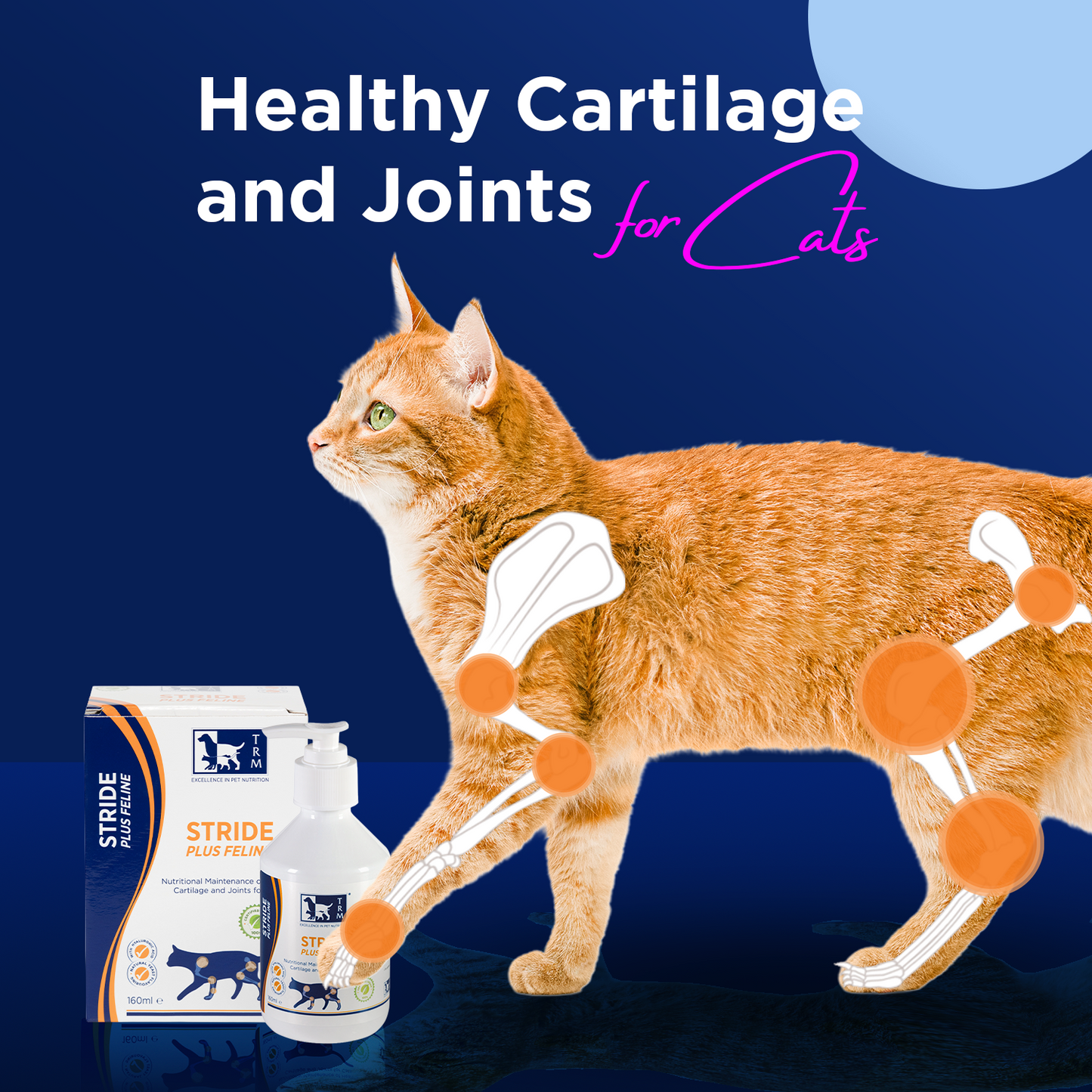 Stride Plus Feline