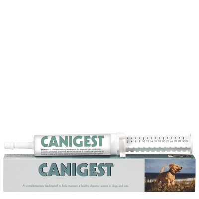 Canigest Oral Paste for digestive health in dogs and cats, helping manage intestinal upsets.