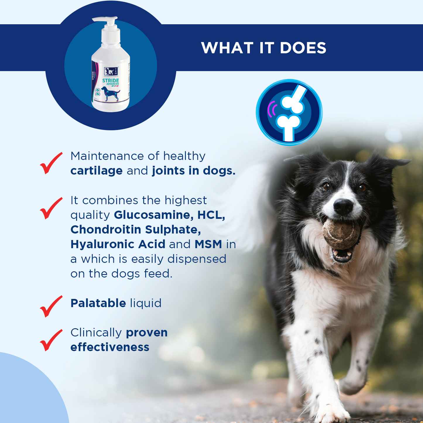 Stride Advanced Liquid - Joint & Bone Support for Dogs