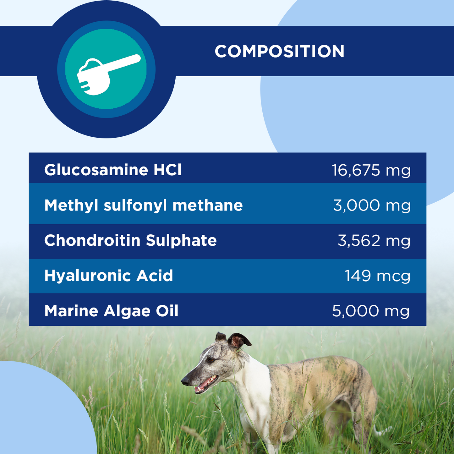 Stride Advanced Liquid - Joint & Bone Support for Dogs