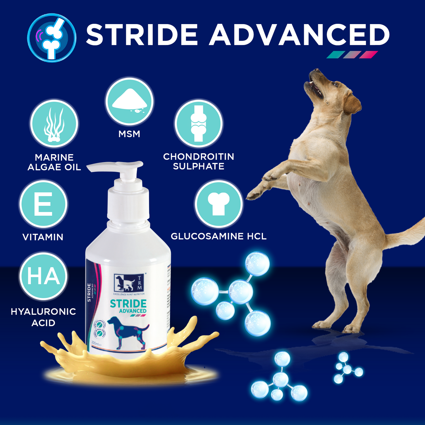Stride Advanced Liquid - Joint & Bone Support for Dogs