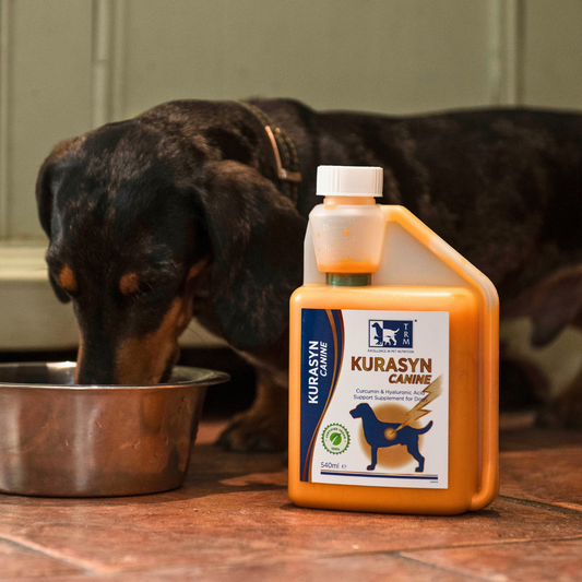 Kurasyn Canine Advanced Mobility