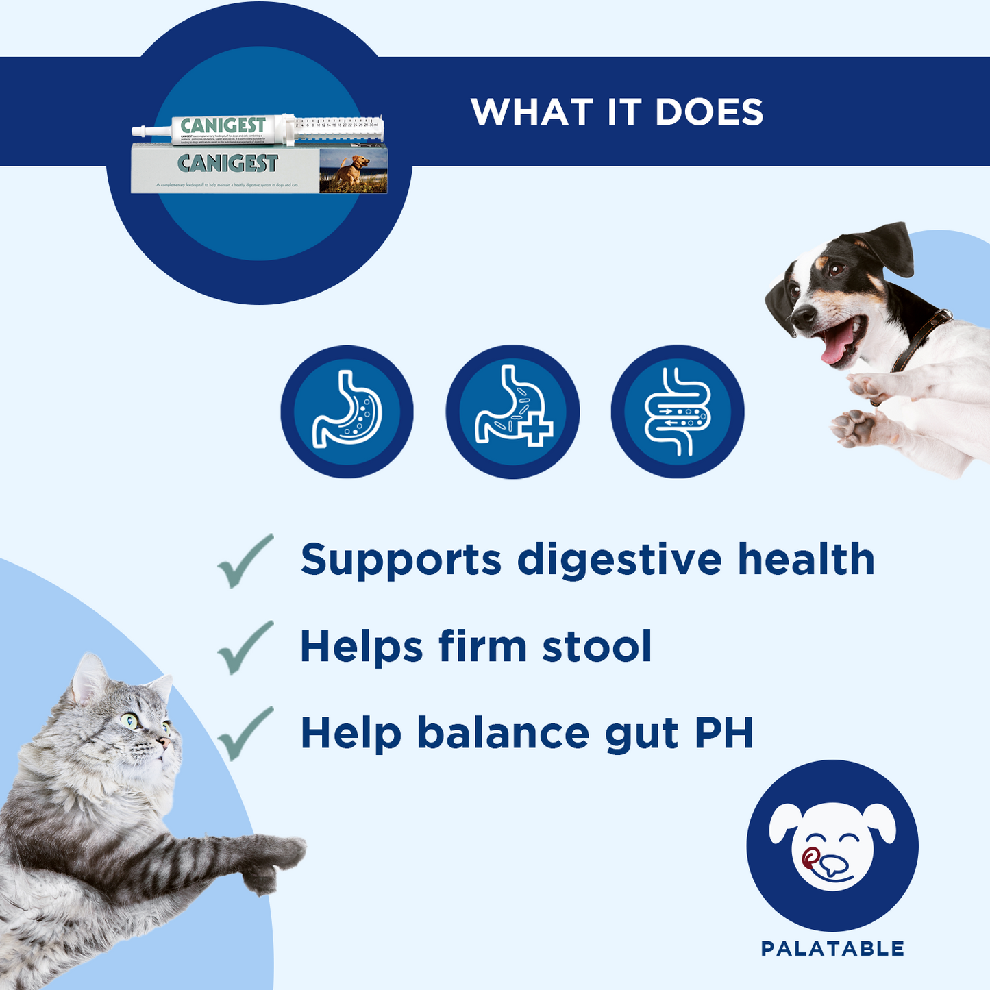 Canigest Oral Paste For Digestive Upsets