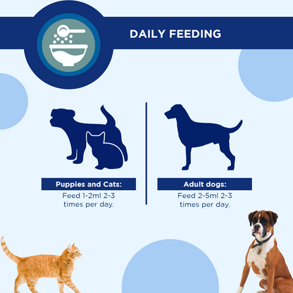 Canigest 30ml Value Multipack