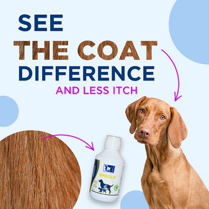 Omeglo Skin Coat & Joint Support