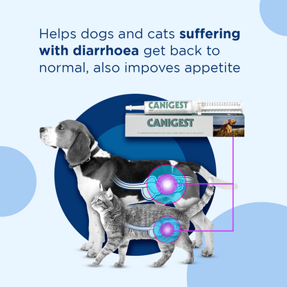 Canigest 30ml Value Multipack