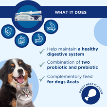 Canigest Combi Oral Paste For Digestive Upsets