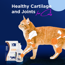Stride Plus Feline