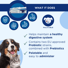 Canigest Combi 32ml Multipack for Digestive Health infographic showing benefits for pets' digestive systems.