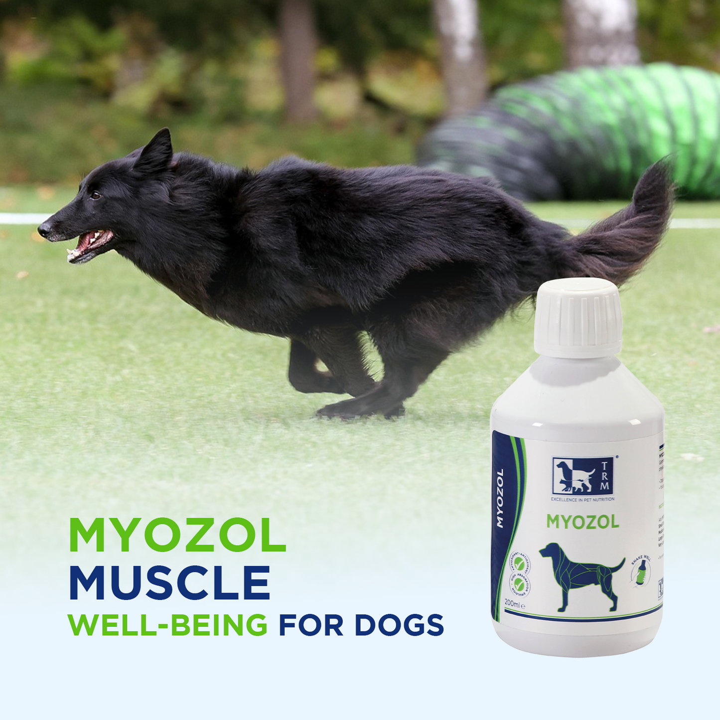 Myozol muscle feed supplement for dogs