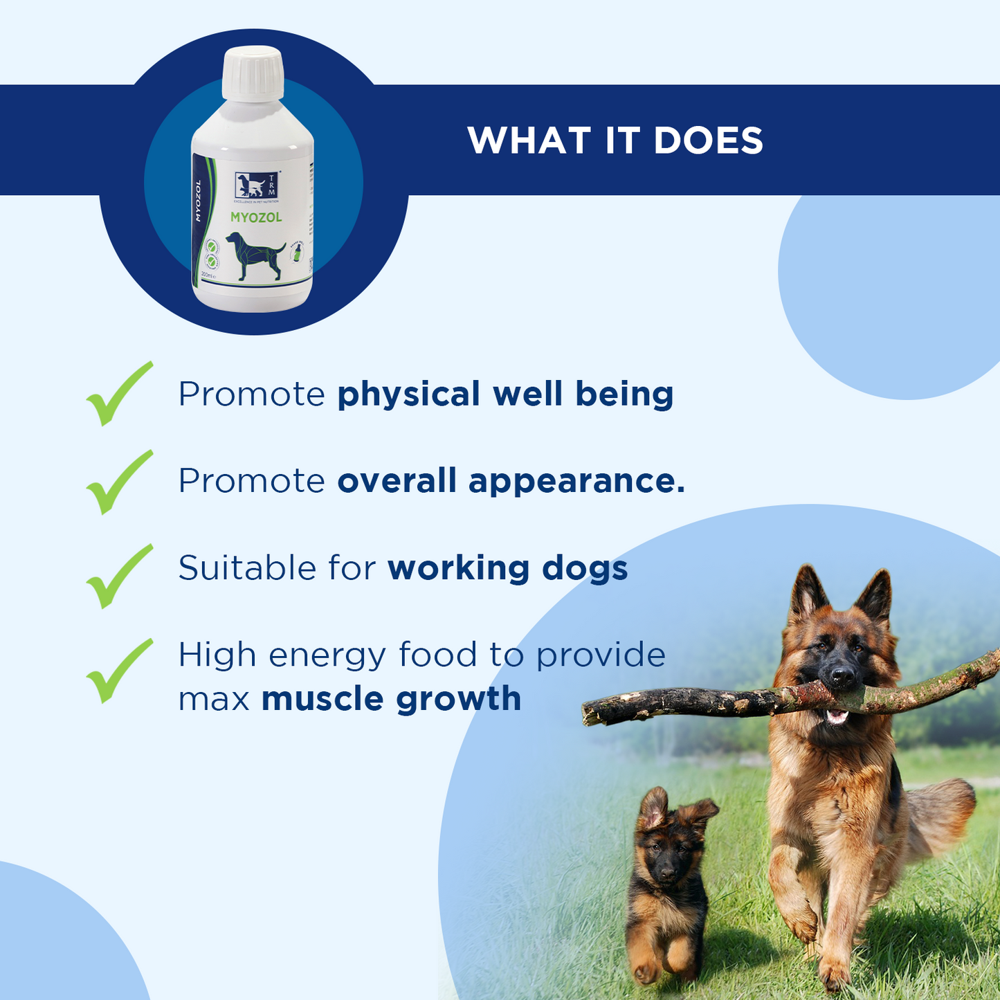 Myozol muscle feed supplement for dogs