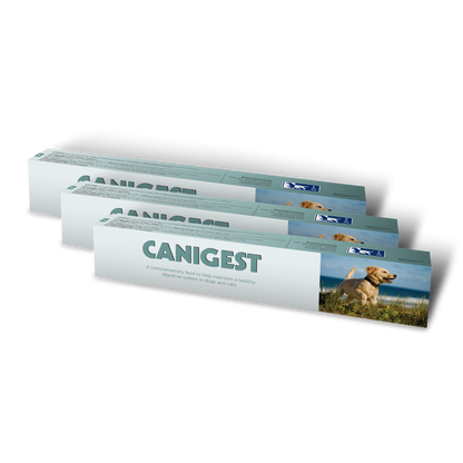 Canigest 30ml Value Multipack
