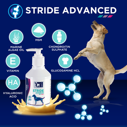 Stride Advanced Liquid - Joint & Bone Support for Dogs