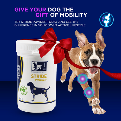 Stride Powder