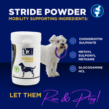 Stride Powder