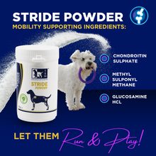 Stride Powder