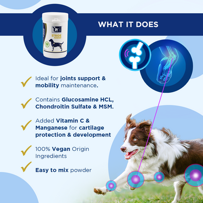 Stride Powder