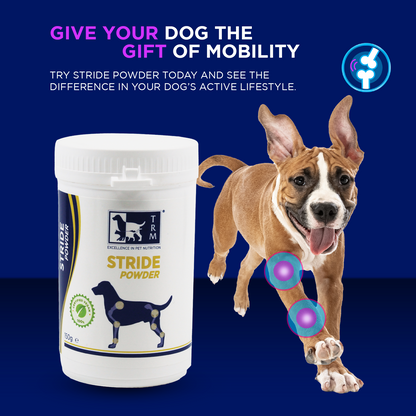 Stride Powder