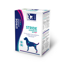 Stride Advanced Liquid
