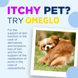 Omeglo