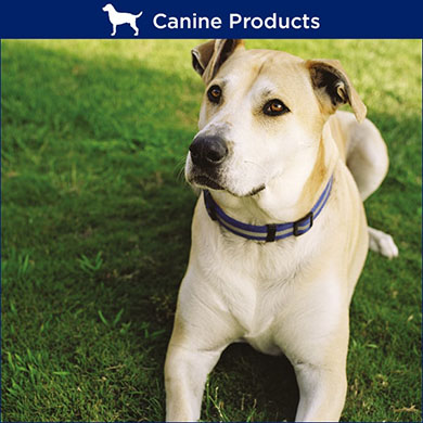 TRM Dog Products