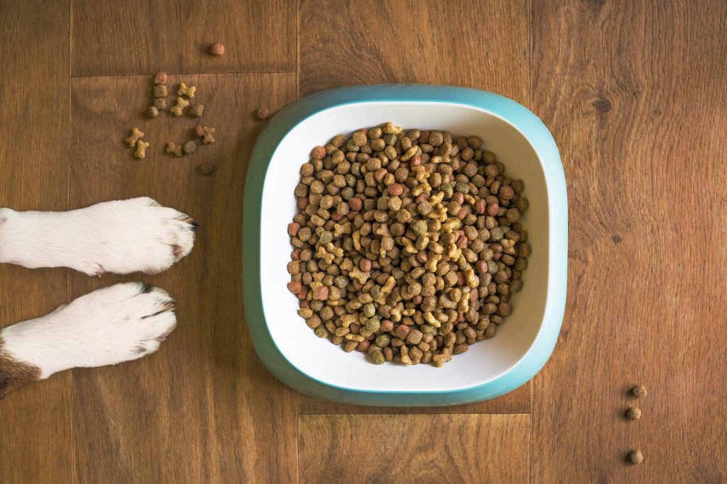 Can wet dog store food cause constipation